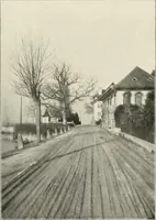 An illustration from Die Gartenkunst (1899)