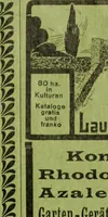 Picture 297 of 542 from Die Gartenkunst (1899), leaf 294