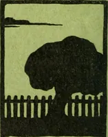 Picture 298 of 542 from Die Gartenkunst (1899), leaf 295
