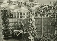 An illustration from Die Gartenkunst (1899)