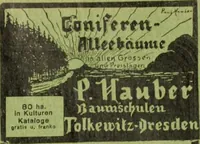 Picture 314 of 542 from Die Gartenkunst (1899), leaf 314