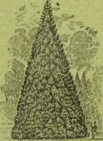 An illustration from Die Gartenkunst (1899)