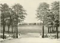 An illustration from Die Gartenkunst (1899)