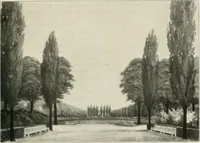 An illustration from Die Gartenkunst (1899)