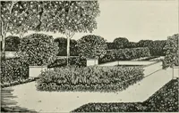 An illustration from Die Gartenkunst (1899)