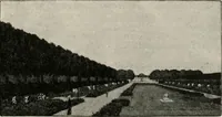 An illustration from Die Gartenkunst (1899)