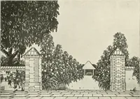 An illustration from Die Gartenkunst (1899)
