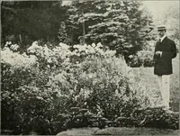 An illustration from Die Gartenkunst (1899)