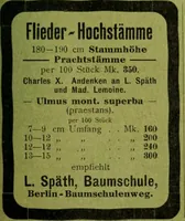 Picture 427 of 542 from Die Gartenkunst (1899), leaf 498
