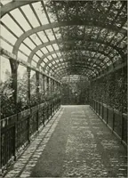Picture 438 of 542 from Die Gartenkunst (1899), leaf 510