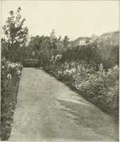 An illustration from Die Gartenkunst (1899)