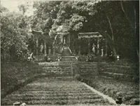 An illustration from Die Gartenkunst (1899)