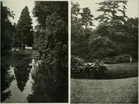 An illustration from Die Gartenkunst (1899)