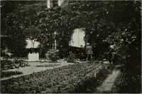 An illustration from Die Gartenkunst (1899)