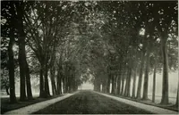 An illustration from Die Gartenkunst (1899)