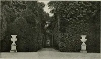 Picture 480 of 542 from Die Gartenkunst (1899), leaf 546