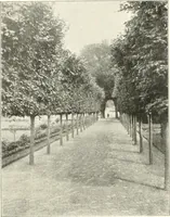 An illustration from Die Gartenkunst (1899)