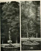 An illustration from Die Gartenkunst (1899)