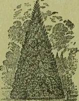 An illustration from Die Gartenkunst (1899)