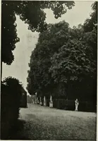 An illustration from Die Gartenkunst (1899)