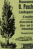Picture 515 of 542 from Die Gartenkunst (1899), leaf 577