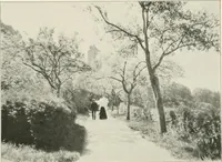 An illustration from Die Gartenkunst (1899)