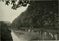 An illustration from Die Gartenkunst (1899)