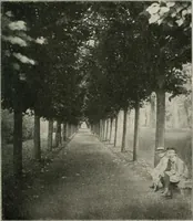 An illustration from Die Gartenkunst (1899)