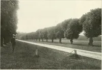 Picture 538 of 542 from Die Gartenkunst (1899), leaf 597