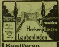 Picture 542 of 542 from Die Gartenkunst (1899), leaf 604