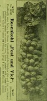 Picture 50 of 542 from Die Gartenkunst (1899), leaf 63