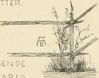Picture 70 of 542 from Die Gartenkunst (1899), leaf 76