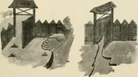 Picture 71 of 542 from Die Gartenkunst (1899), leaf 76