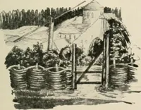 An illustration from Die Gartenkunst (1899)