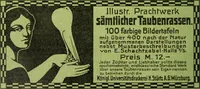An illustration from Die Gartenkunst (1899)