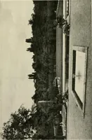 An illustration from Die Gartenkunst (1899)