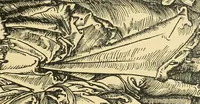 An illustration from Die graphische Darstellung von Naturereignissen (1916)