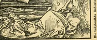 Picture 15 of 22 from Die graphische Darstellung von Naturereignissen (1916), leaf 104