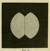 An illustration from Die Grundempfindungen in normalen und anomalen Farbensystemen und ihre Intensitätsverteilung im Spektrum (1892)