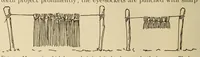 Picture 8 of 16 from The Diegueño ceremony of the death images (1919), leaf 30