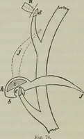 An illustration from Die Hemmungen der Uhren, ihre Entwicklung, Konstruktion, Reparatur und Behandlung vor der Reglage, nebst zugehörigen Tabellen zahlreichen Abbildungen und 6 Porträts. Allegemein verständlich für Uhrmacher, Ingenieure, Techniker u.s.w (1905)