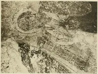 Picture 33 of 37 from Die hochromanische Wandmalerei in Regensburg (1920), leaf 120
