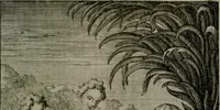 An illustration from Die ihren Gott liebende Seele, vorgestellt in den Sinnbildern des Hermanni Hugonis über seine Pia desideria, und des Ottonis Vaenii, über die Liebe Gottes, mit neuen Kupffern und Versen, welche zielen auf das innere Christenthum, aus dem Frantzösischen ins Teutsche übersetzt (1743)
