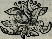 An illustration from Die ihren Gott liebende Seele, vorgestellt in den Sinnbildern des Hermanni Hugonis über seine Pia desideria, und des Ottonis Vaenii, über die Liebe Gottes, mit neuen Kupffern und Versen, welche zielen auf das innere Christenthum, aus dem Frantzösischen ins Teutsche übersetzt (1743)