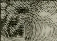 An illustration from Die ihren Gott liebende Seele, vorgestellt in den Sinnbildern des Hermanni Hugonis über seine Pia desideria, und des Ottonis Vaenii, über die Liebe Gottes, mit neuen Kupffern und Versen, welche zielen auf das innere Christenthum, aus dem Frantzösischen ins Teutsche übersetzt (1743)