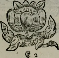 An illustration from Die ihren Gott liebende Seele, vorgestellt in den Sinnbildern des Hermanni Hugonis über seine Pia desideria, und des Ottonis Vaenii, über die Liebe Gottes, mit neuen Kupffern und Versen, welche zielen auf das innere Christenthum, aus dem Frantzösischen ins Teutsche übersetzt (1743)