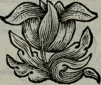 An illustration from Die ihren Gott liebende Seele, vorgestellt in den Sinnbildern des Hermanni Hugonis über seine Pia desideria, und des Ottonis Vaenii, über die Liebe Gottes, mit neuen Kupffern und Versen, welche zielen auf das innere Christenthum, aus dem Frantzösischen ins Teutsche übersetzt (1743)