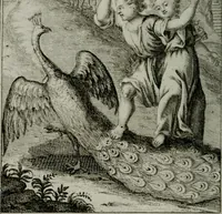 An illustration from Die ihren Gott liebende Seele, vorgestellt in den Sinnbildern des Hermanni Hugonis über seine Pia desideria, und des Ottonis Vaenii, über die Liebe Gottes, mit neuen Kupffern und Versen, welche zielen auf das innere Christenthum, aus dem Frantzösischen ins Teutsche übersetzt (1743)
