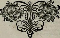An illustration from Die ihren Gott liebende Seele, vorgestellt in den Sinnbildern des Hermanni Hugonis über seine Pia desideria, und des Ottonis Vaenii, über die Liebe Gottes, mit neuen Kupffern und Versen, welche zielen auf das innere Christenthum, aus dem Frantzösischen ins Teutsche übersetzt (1743)