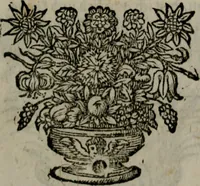 An illustration from Die ihren Gott liebende Seele, vorgestellt in den Sinnbildern des Hermanni Hugonis über seine Pia desideria, und des Ottonis Vaenii, über die Liebe Gottes, mit neuen Kupffern und Versen, welche zielen auf das innere Christenthum, aus dem Frantzösischen ins Teutsche übersetzt (1743)